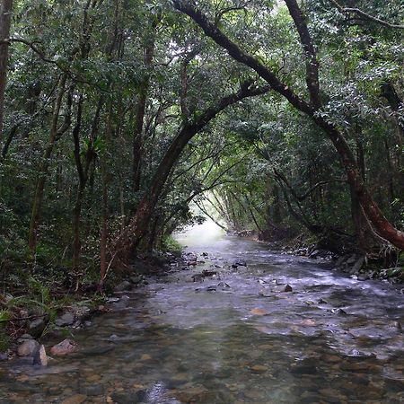 Heritage Lodge In The Daintree Cape Tribulation Extérieur photo