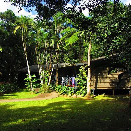 Heritage Lodge In The Daintree Cape Tribulation Extérieur photo