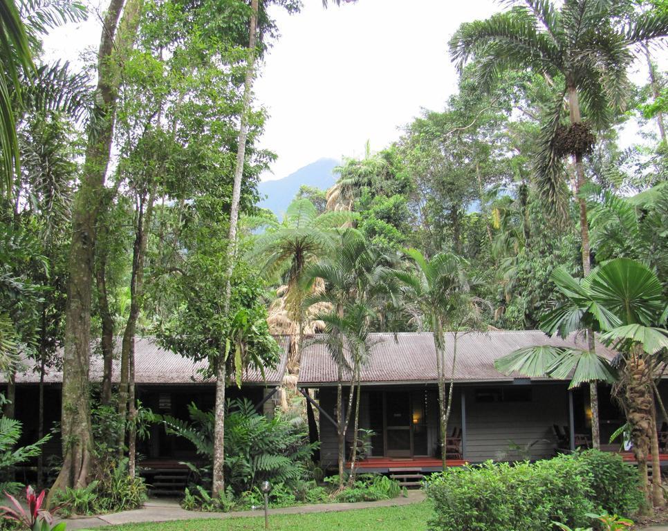 Heritage Lodge In The Daintree Cape Tribulation Extérieur photo
