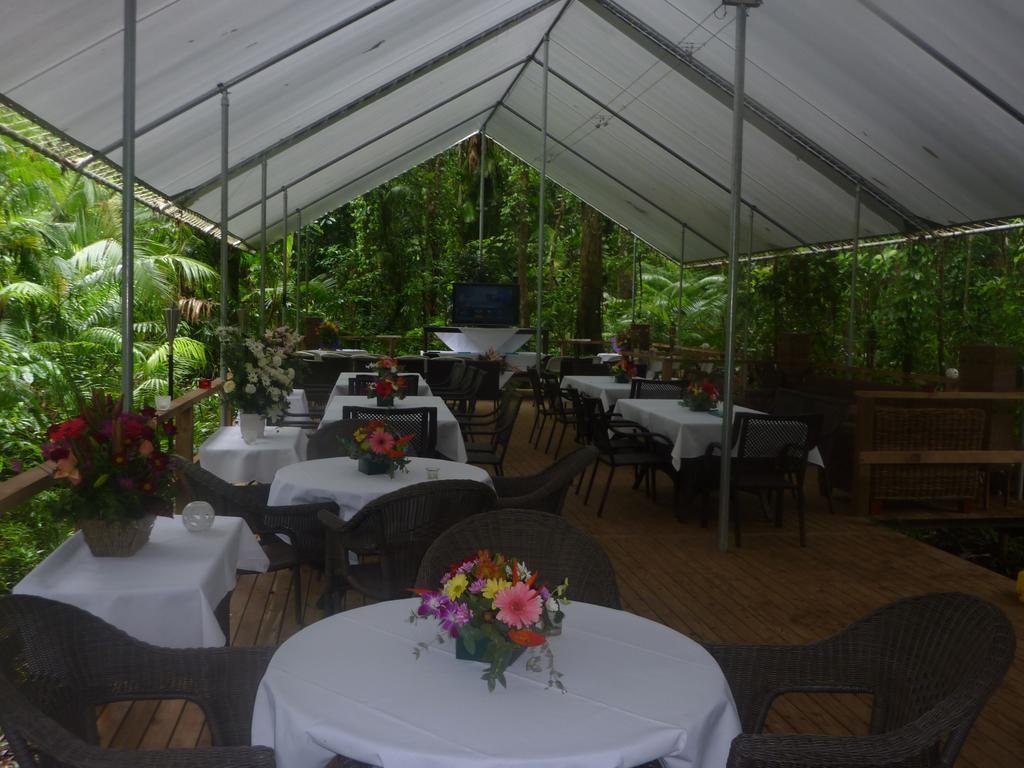 Heritage Lodge In The Daintree Cape Tribulation Extérieur photo