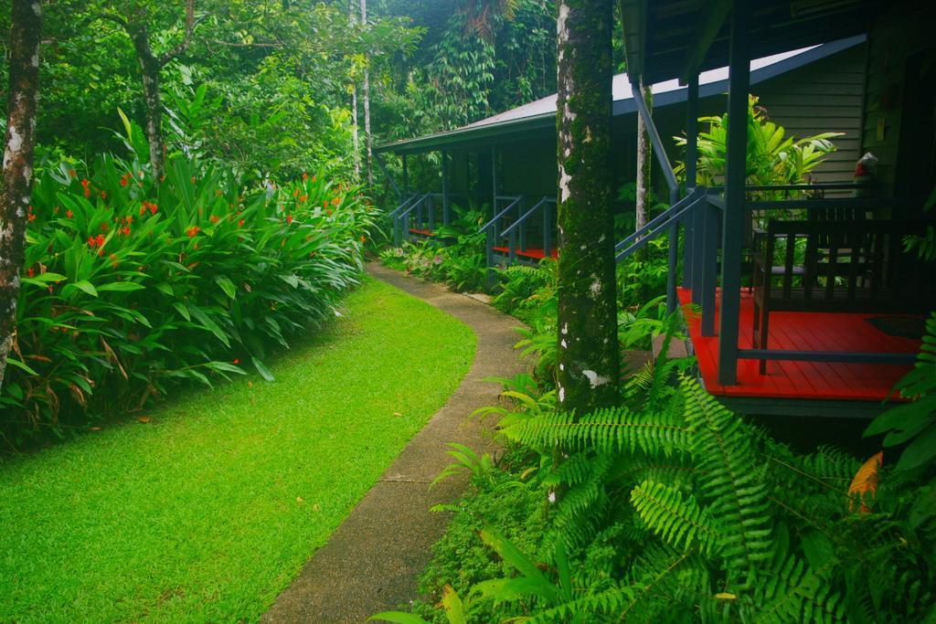 Heritage Lodge In The Daintree Cape Tribulation Extérieur photo