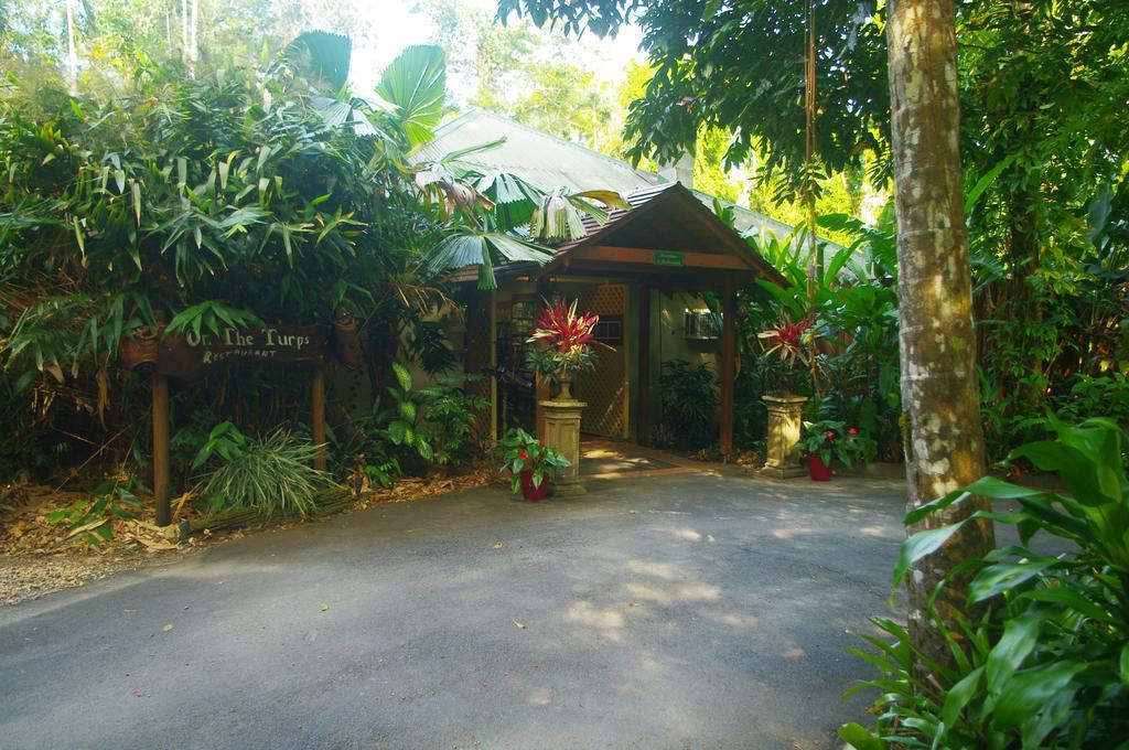 Heritage Lodge In The Daintree Cape Tribulation Extérieur photo